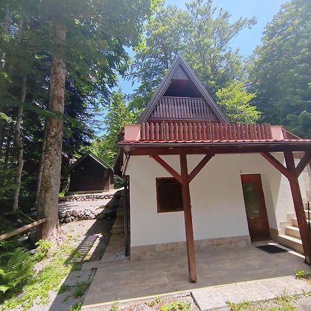 Koca Planika, Sviscaki Villa Ilirska Bistrica Eksteriør bilde