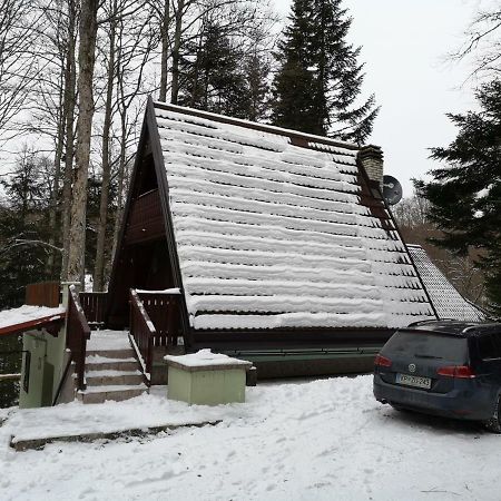 Koca Planika, Sviscaki Villa Ilirska Bistrica Eksteriør bilde
