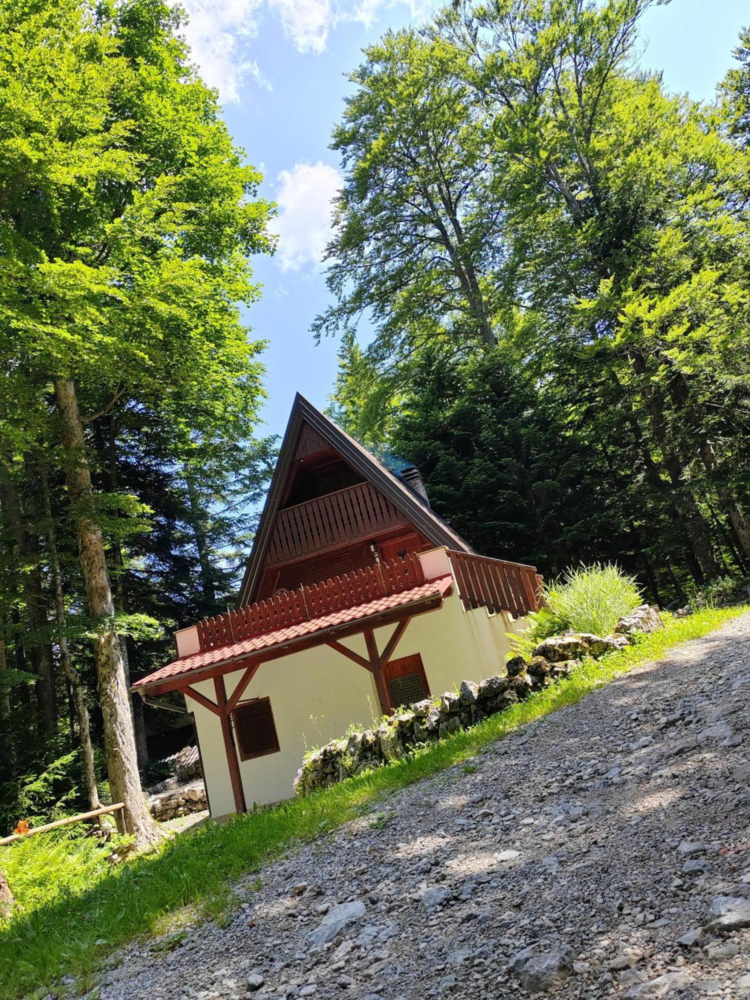 Koca Planika, Sviscaki Villa Ilirska Bistrica Eksteriør bilde