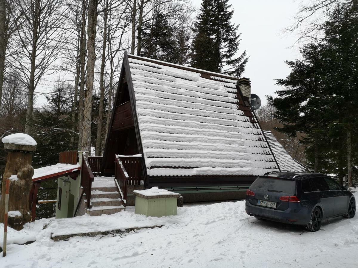 Koca Planika, Sviscaki Villa Ilirska Bistrica Eksteriør bilde